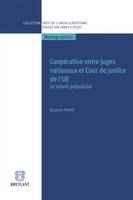 Coopération entre juges nationaux et Cour de justice de l'UE, Le renvoi préjudiciel