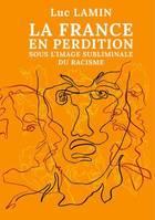 La France en perdition, Sous l'image subliminale du racisme