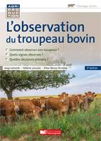 L'observation du troupeau bovin