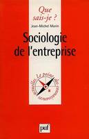 SOCIOLOGIE DE L'ENTREPRISE