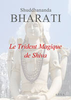 Le Trident Magique de Shiva, Le Trident Magique de Shiva, Shivastram, a pour thème principal la quête spirituelle d’Arjuna