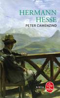 Peter Camenzind, récit