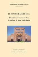 Le témoin dans le ciel, L'expérience visionnaire dans le soufisme de najm al-dîn kubrâ