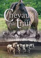 CHEVAUX DE TRAIT