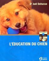 L'éducation du chien