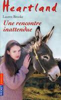 38, Heartland - tome 38 Une rencontre inattendue