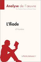 L'Iliade d'Homère (Analyse de l'oeuvre), Analyse complète et résumé détaillé de l'oeuvre