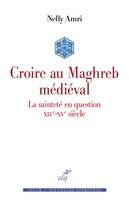 Croire au Maghreb médiéval, La sainteté en question, xive-xve siècle
