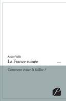 La France ruinée, Comment éviter la faillite ?