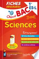 Objectif Bac Fiches Détachables Sciences 1ère Es/L