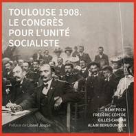 Toulouse 1908. Le congrès pour l'unité socialiste, Le congrès pour l'unité socialiste