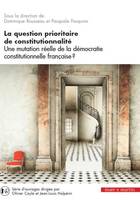 La question prioritaire de constitutionnalité, Une mutation réelle de la démocratie constitutionnelle française ?