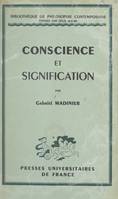 Conscience et signification, Essai sur la réflexion