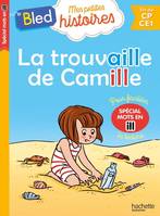 Mes petites histoires, le Bled, La trouvaille de Camille (mots en ill)