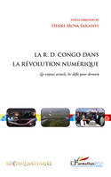 La R.D. Congo dans la révolution numérique, Les enjeux actuels, les défis pour demain