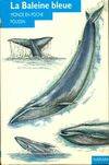 BALEINE BLEUE