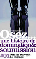 Osez 20 histoires de soumission domination