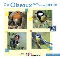 Des oiseaux dans mon jardin