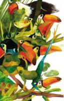 Notebook : Toucans