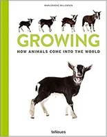 GROWING : HOW ANIMALS COME INTO OUR WORLD /ANGLAIS