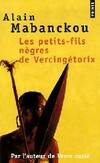 Les petits-fils nègres de Vercingétorix, roman