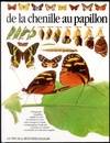 De la chenille au papillon