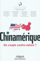 La Chinamérique, Un couple contre-nature ?