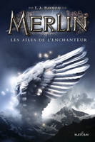 Les ailes de l'enchanteur, Merlin Livre 5 - Cycle 1