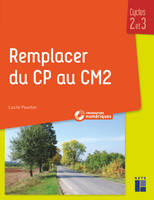 Remplacer du CP au CM2, Cycles 2 et 3