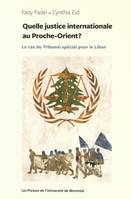 Quelle justice internationale au Proche-Orient?, Le cas du Tribunal spécial pour le Liban