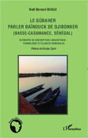 Le gúbaher, parler baïnouck de Djibonker (Basse-Casamance, Sénégal), Éléments de description linguistique : phonologie et classes nominales