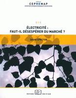 Électricité : faut il désespérer du marché ?