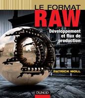 Le format RAW, Développement et flux de production
