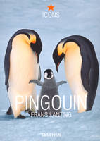 Pingouin, PO