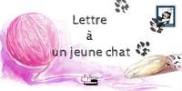 Lettre à un jeune chat