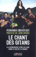 Le Chant des gitans, A la rencontre d'une culture dans le sud de la France