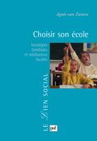 Choisir son école, Stratégies familiales et médiations locales