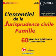 L'Essentiel de la jurisprudence civile : Famille-2, 60 grandes décisions commentées