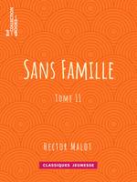 Sans famille, Tome II