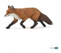 Renard