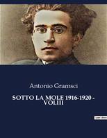 SOTTO LA MOLE 1916-1920 - VOLIII, 3946