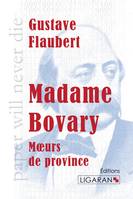 Madame Bovary, Moeurs de province