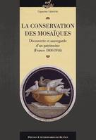 La Conservation des mosaïques, Découverte et sauvegarde d'un patrimoine (France 1800-1914)