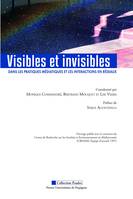 Visibles et invisibles, Dans les pratiques médiatiques et les interactions en réseaux