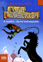 Garin Trousseboeuf, Garin Troussebœuf, IX : À vendre, cheval indomptable