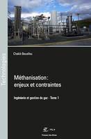 Méthanisation : enjeux et contraintes, Ingénierie et gestion du gaz - tome 1