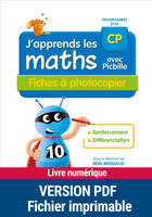 PDF J'apprends les maths avec Picbille CP - Fiches à photocopier, Renforcement et différenciation