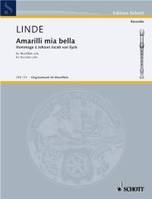 Amarilli mia bella, Hommage à Johann Jacob van Eyck. soprano-, alto- and bass recorder.