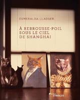 À rebrousse-poil sous le ciel de Shanghaï