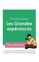 Réussir son Bac de français 2023 : Analyse des Grandes espérances de Charles Dickens
